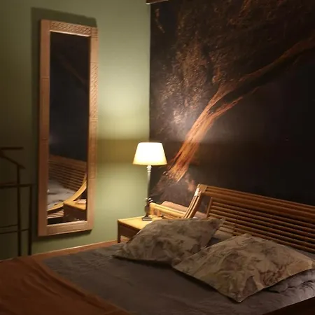 Symphony Du Vivant Pansiyon *